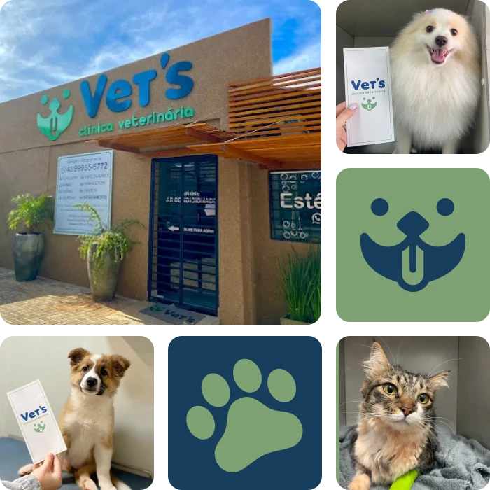 clinica-veterinária-arapongas