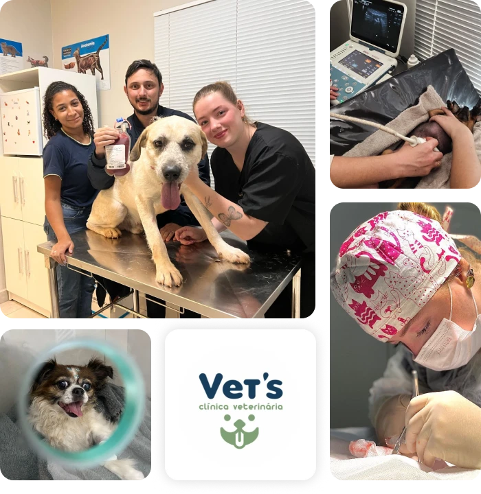 clinica-veterinária-em-arapongas-parana